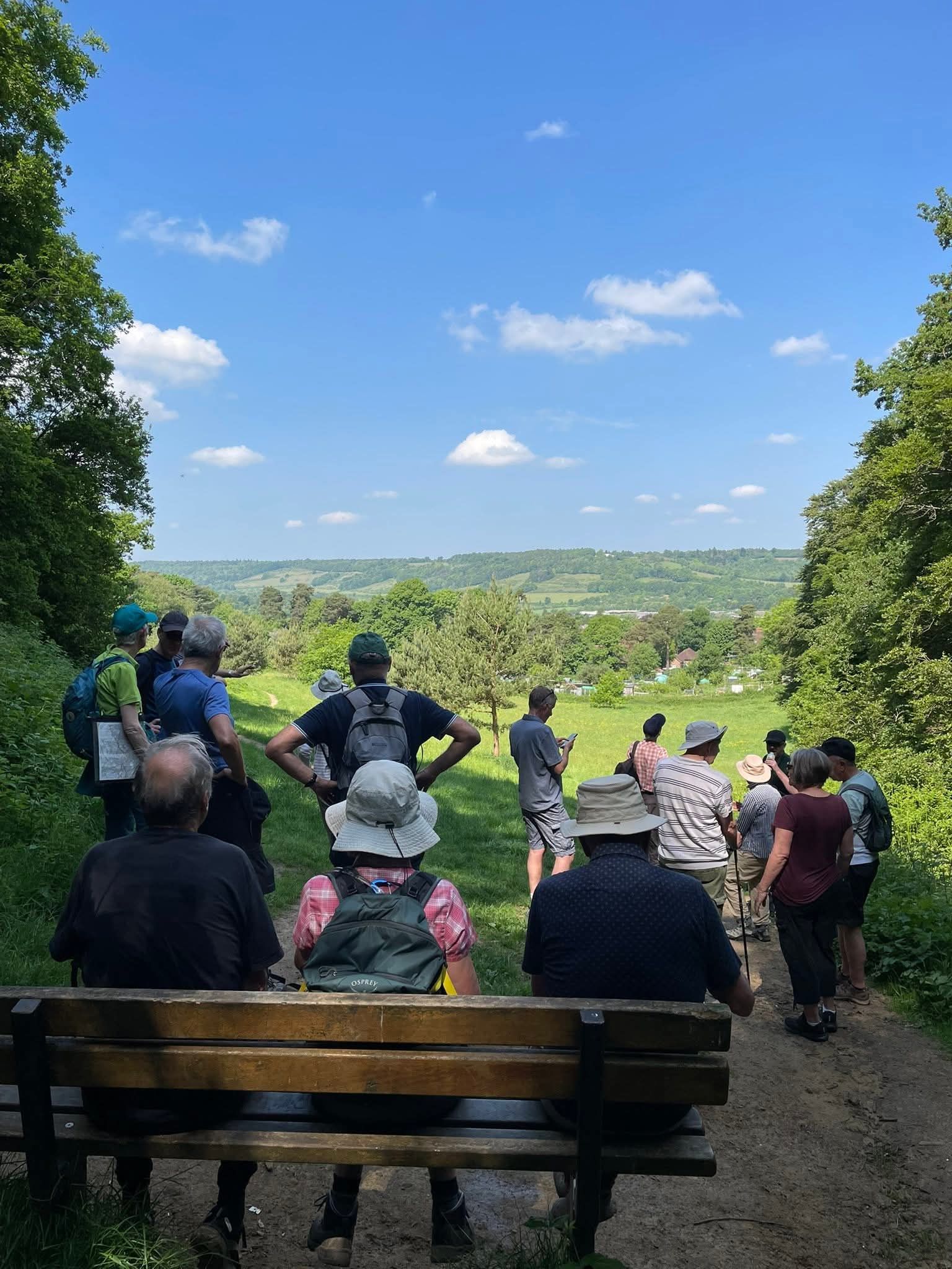 Glory Wood view